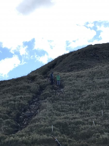 雪山 不下雪532999