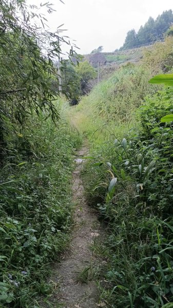20251004 馬那邦山 - 珠湖 登山口2904804