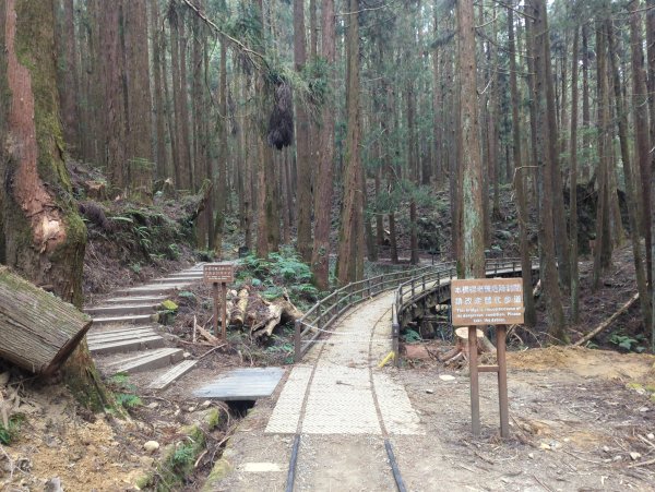 2026.02.14－特富野古道3013709