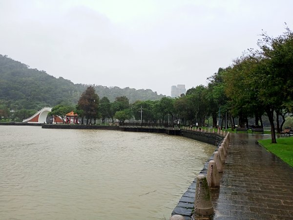 大湖公園 (防災公園)【走路趣尋寶，全臺齊步走】1895292