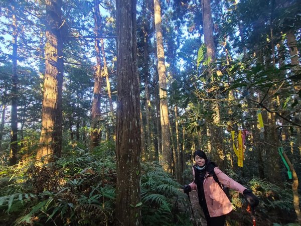 油山o行走 第一登山口上第二登山口下1243170