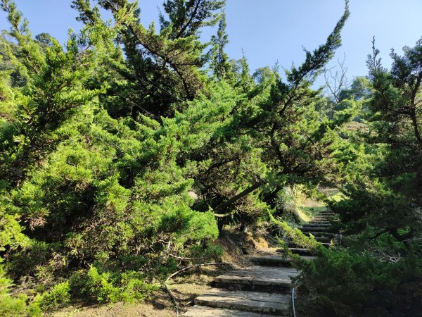 2023.12.08 土庫岳2695275