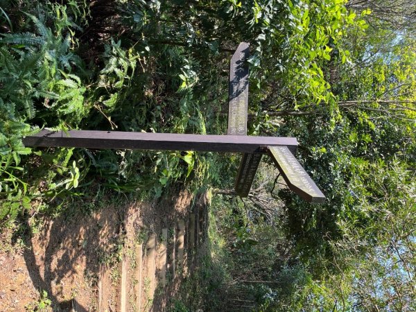 20250229_台北天際線第十段（中和-土城）2855544