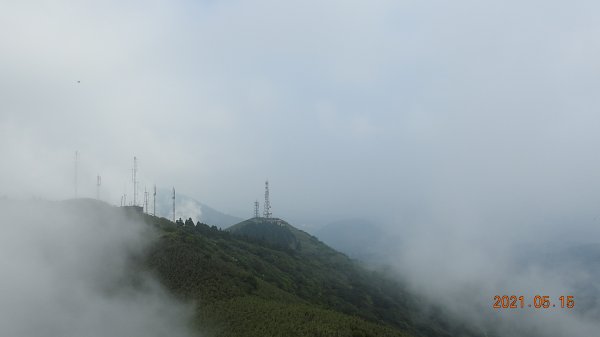 再見觀音圈 - 山頂變幻莫測，雲層帶雲霧飄渺之霧裡看花 & 賞蝶趣1387523