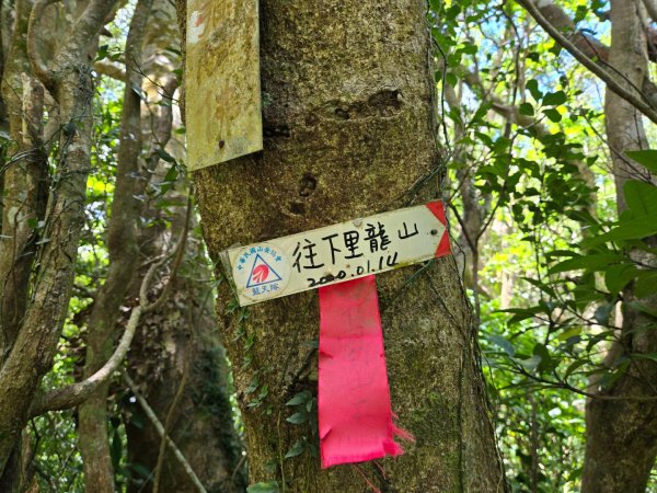 里龍山（小百岳）2788741