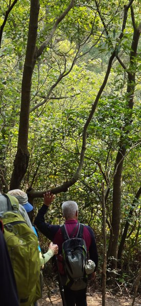 2026-0412 奇岩山_唭哩岸山_丹鳳山_軍艦岩3034867
