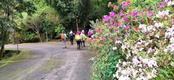 鵲子山步道 小百岳1304408