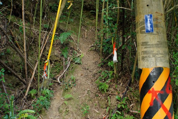 新竹 關西 馬武督山2914164