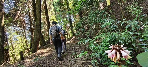 2025/06/15_盡尾山步道2812750