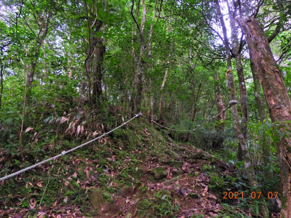 新北 坪林 九芎根山1422943