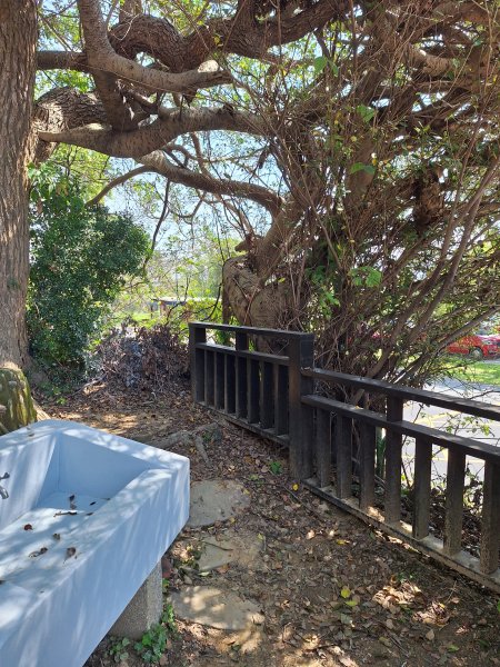 造橋口山古道202503122734384