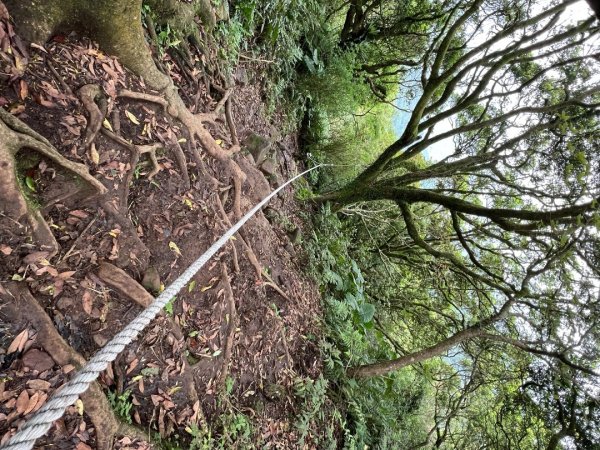 4/12台北大縱走第二段小油坑到二子坪2763654