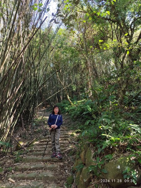 坪頂古圳環狀步道→清風亭→鵝尾山步道【走遍陽明山】2658302