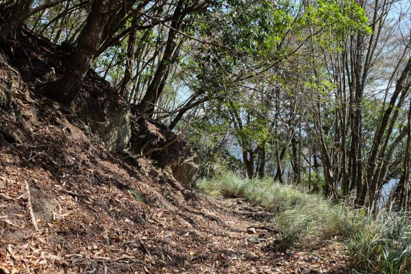 苗栗泰安 | 雪見‧初探北坑溪古道2700073
