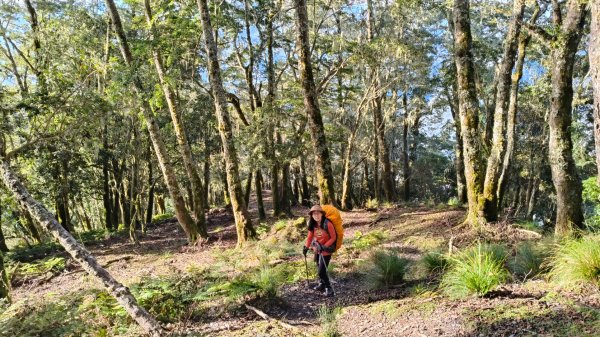 新康五天~戒茂斯進，出瓦拉米2949606