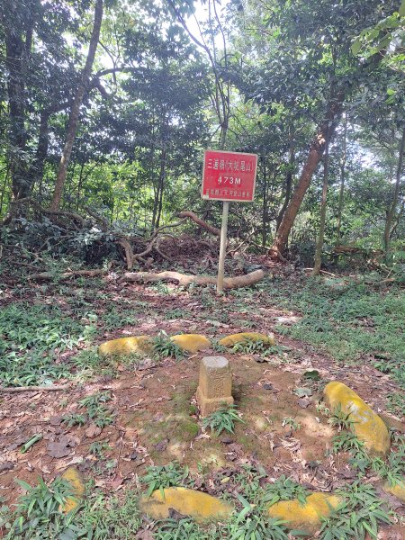 三義挑炭古道(三通嶺古道)11508233115421