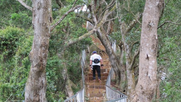 《彰化》稜線雙龍｜田中森林登山步道O型202506292824375