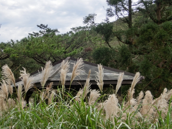 大屯山西峰．南峰．大屯坪94798