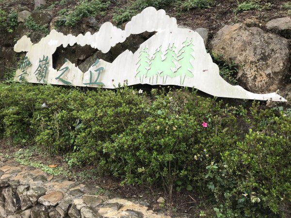 110年4月25日雲林  雲嶺之丘 五元二角 木馬古道1456577