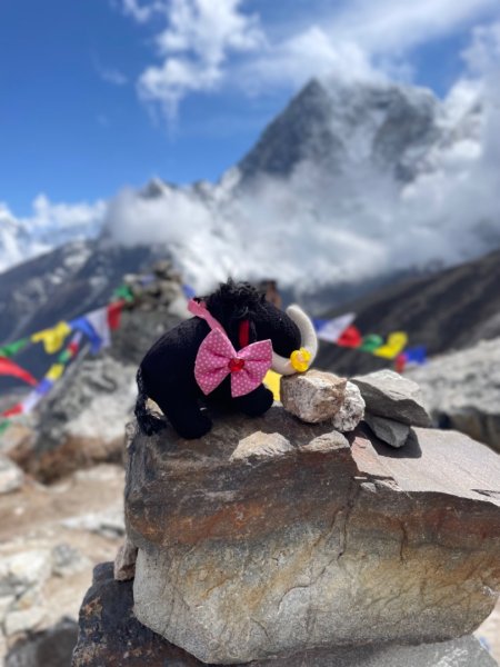 尼泊爾聖母峰EBC基地營❤️人物篇2791231