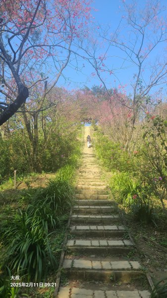 2025-0211造鎮_太極嶺_五城山小段攀爬路線2710722
