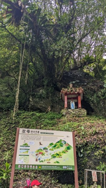 抹茶山 三角崙山2092455