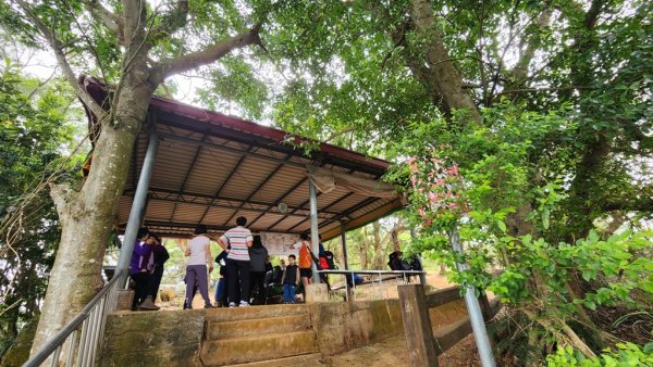 田中麒麟山連走田中森林公園北天宮O繞+ 田中大小劍逆走2756734