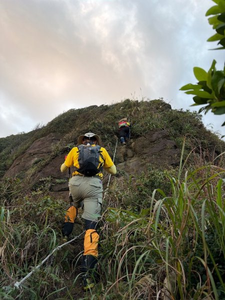 新北 瑞芳 黃金八稜七稜O型2956133