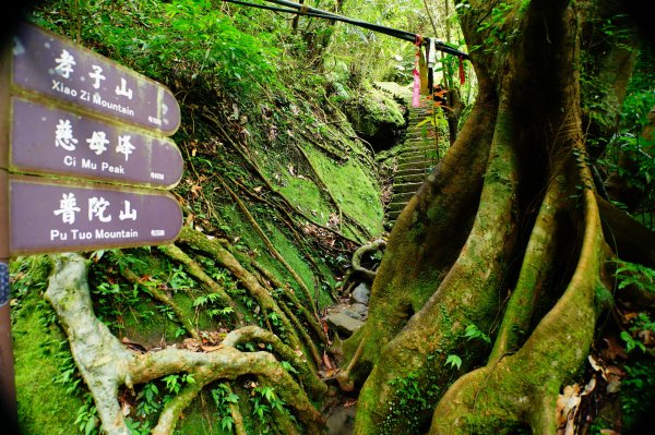 新北 平溪 孝子山、慈母峰、普陀山、中央尖、臭頭山3094906
