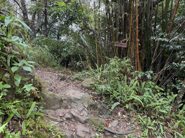 [微笑山線_第三段] 2026_0328 鳶山山系_鳶山彩壁3025688