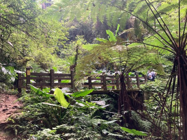 五指山登山步道2293209