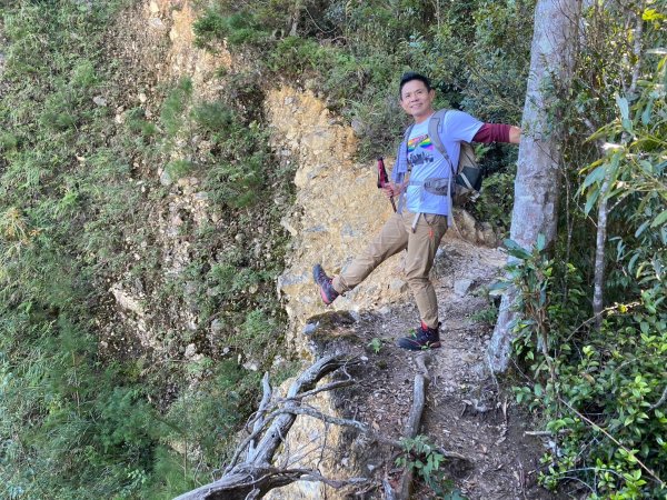長壽山-醜崠山-鳶嘴山【既優雅又狂野的另類選擇】2673967