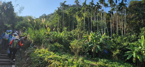 2026_01_18_探索你的後花園@土城2984999