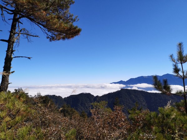 牽著她的手，再上桃山～360度盡入眼簾763107