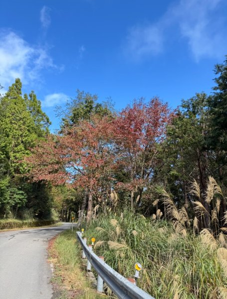 三星山(小百岳#85) 鳩之澤溫泉煮蛋趣2953237