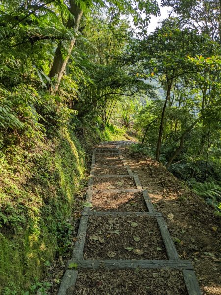 指南宮貓空親山步道1675793