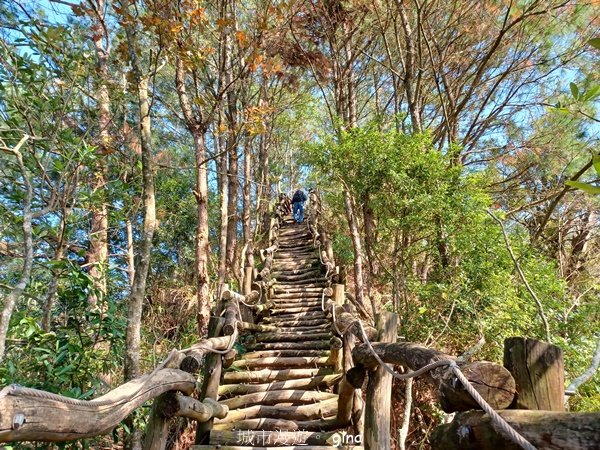 【台中北屯】全台少見圓枕木步道考驗平衡感專注力。 大坑四號步道xNo41小百岳頭嵙山2523342