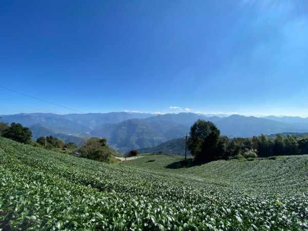 大尖山、二尖山、大眾爺廟、華山溪吊橋、教育農園1540310