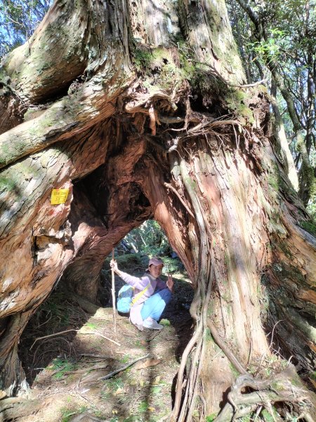 2024.12.01塔曼山2799655