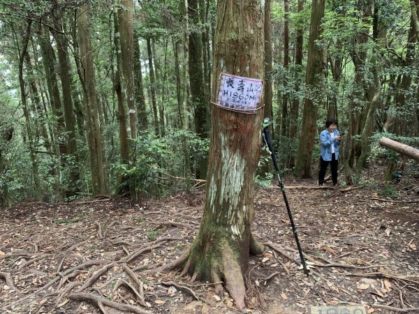 觀音山林道-大崠山-肥崠山(長壽山) 2022.5.291724136