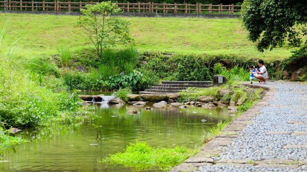 白石湖沒有百合花。晶片關稅2781568