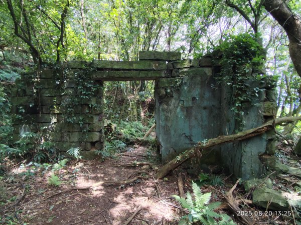 【臺北大縱走 1+2】2-2 大屯主峰-連峰步道→下青礐步道→貴子坑步道→忠義山步道→楓丹白露步道2866912