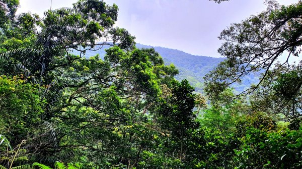 抹茶山，聖母登山步道，隆隆山，福卯古道，水柳腳登山步道，觀音台步道，北勢溪自行車道1742243