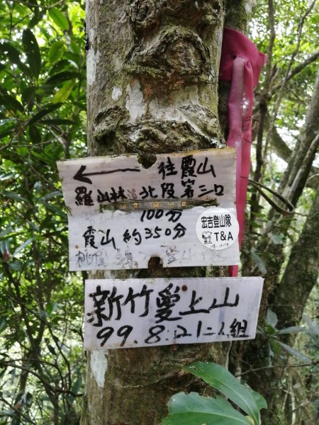 油羅山1上3下1023110