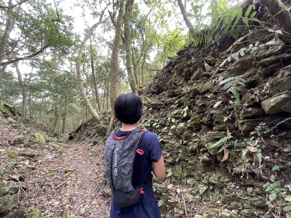 小百岳｜高雄茂林鳴海山1606727