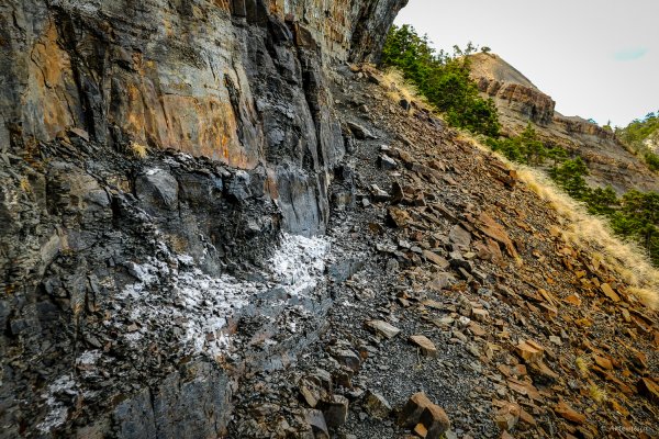 [冬訪大霸聖山岳參行]-榮耀桂冠B'bu' Papak聖稜精選輯2974819