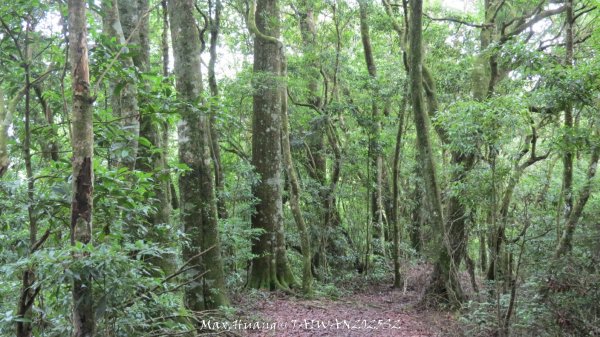 《雲林》望好望角｜石壁山嘉南雲峰步道(中側登山口）202506072805492