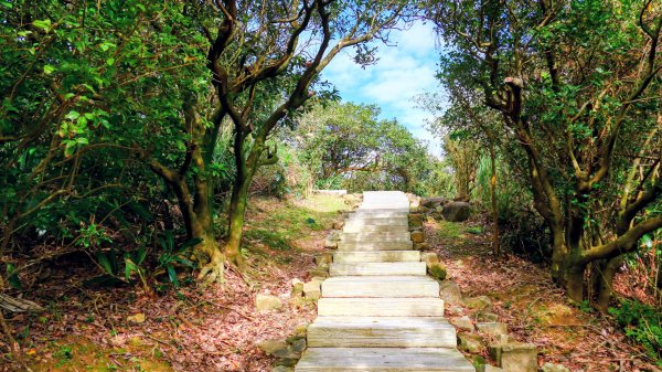 龍脊上的呼吸 (劍龍稜)2993649