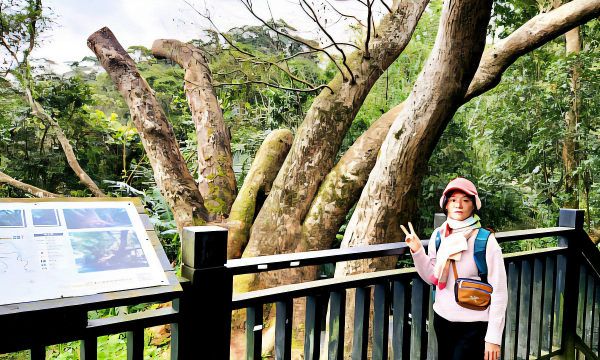 獅山古道，獅尾山，七星神木，六寮古道，六寮山，藤坪步道 ，水濂橋步道，水濂洞步道