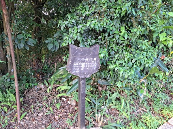 2026微笑山線樟樹步道3103328